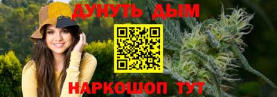гашик Кулебаки