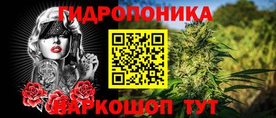 гашик Кулебаки