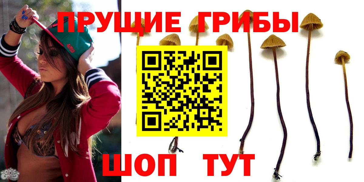 Елец  Псилоцибиновые грибы Psilocybine cubensis  где купить   Вход с VPN 